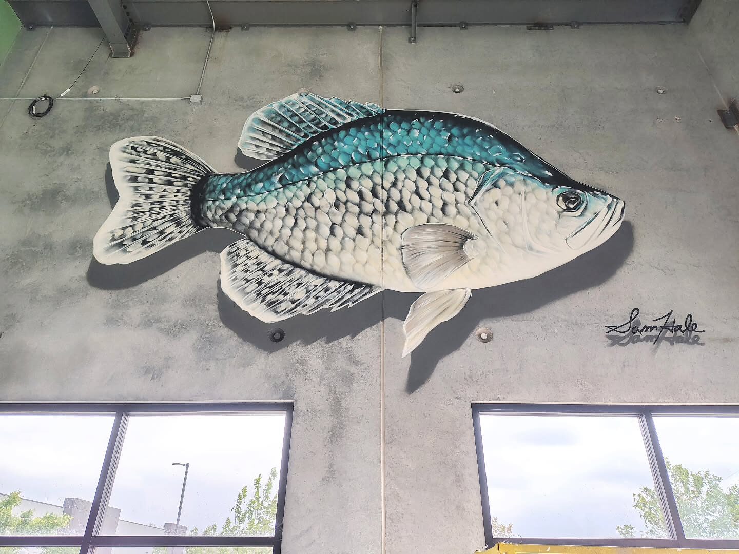 Crappie Mural