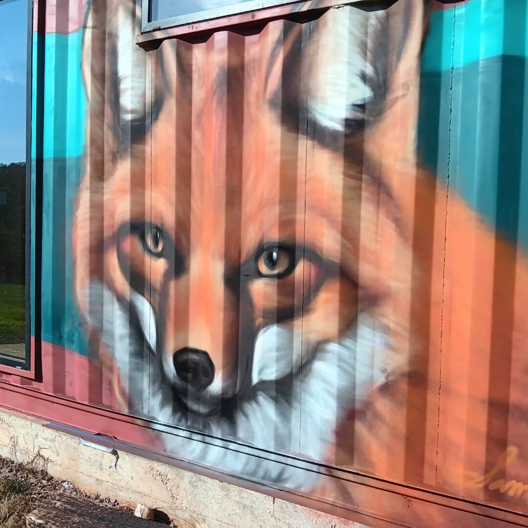 Shipping Container Fox — view 2