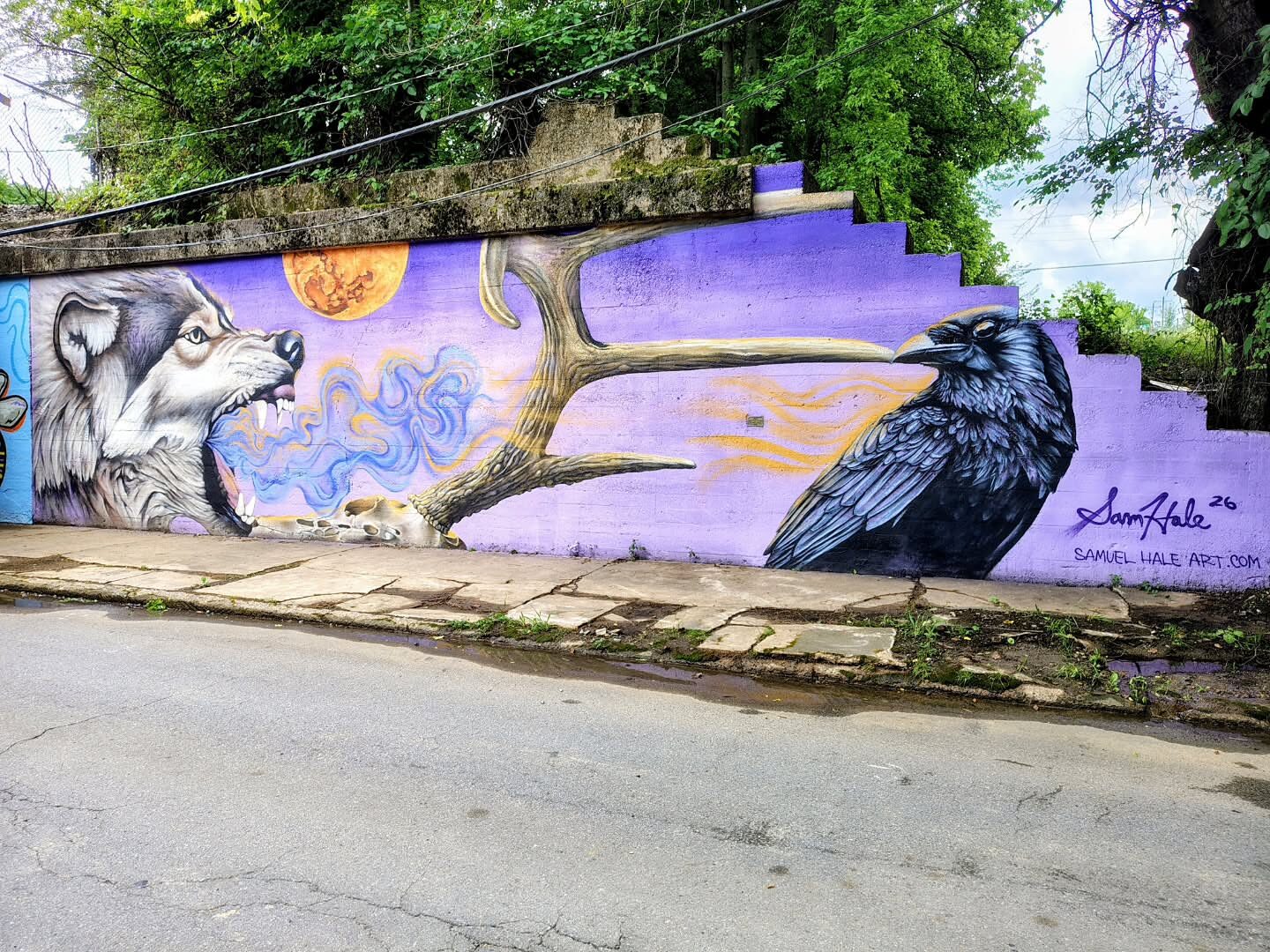 Survival — Wolf & Bird