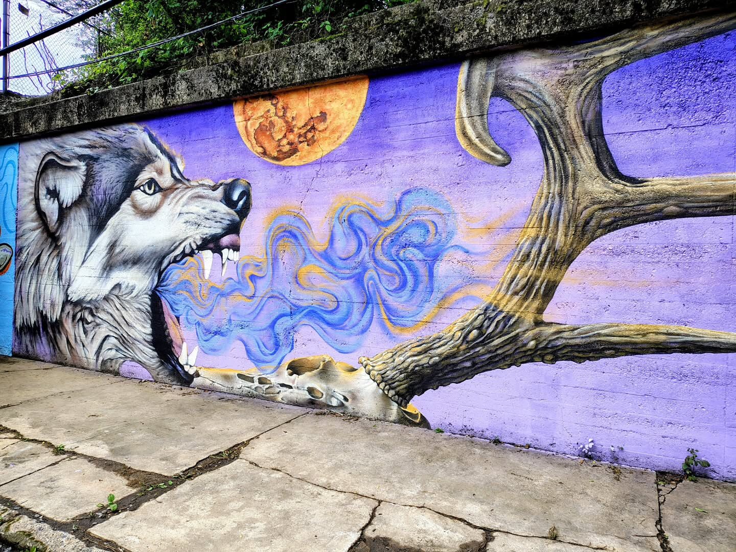 Survival — Wolf & Bird — view 2