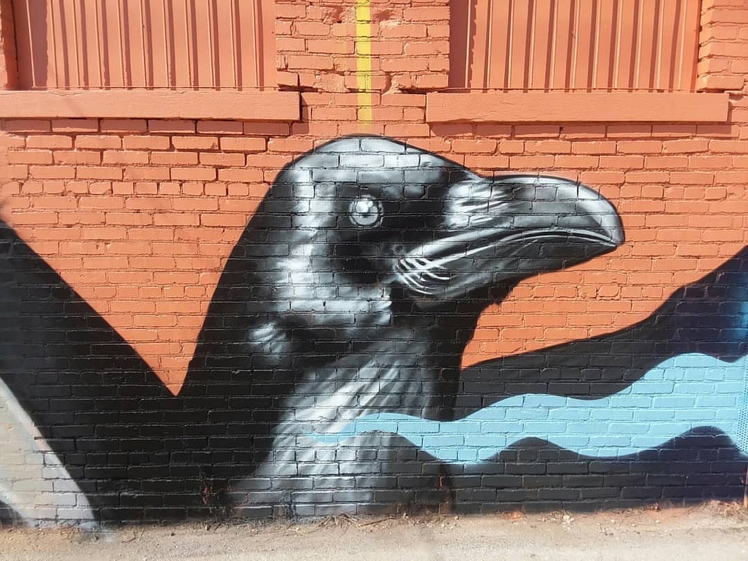 Geronimo with Two Crows — Instagram photograph from 2018-09-16