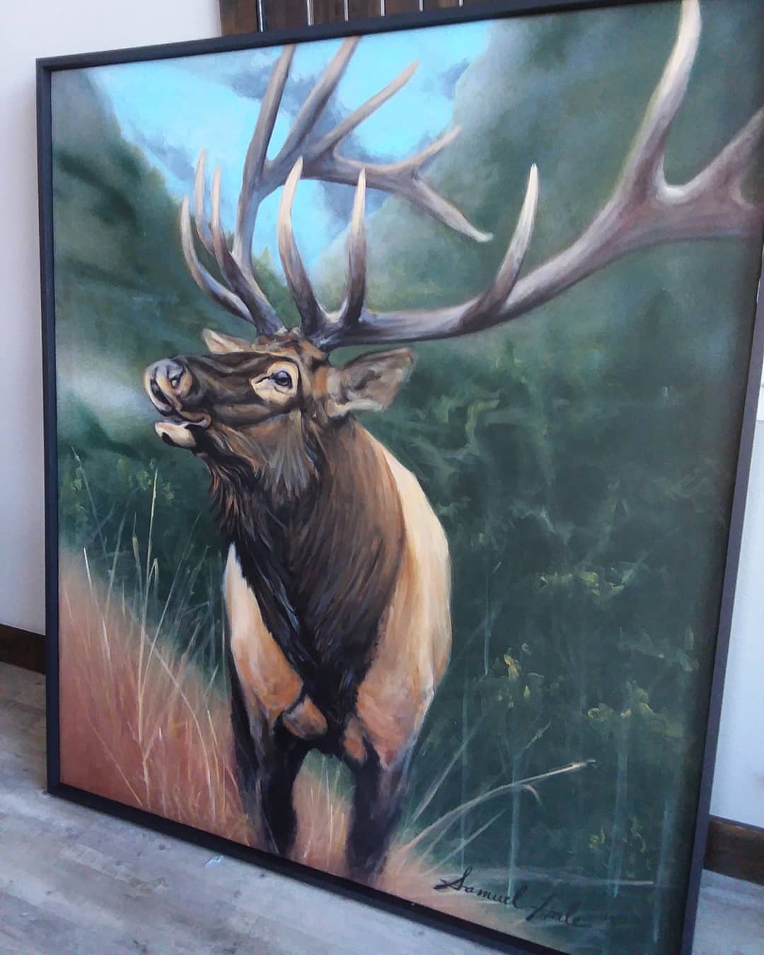 Elk Portrait