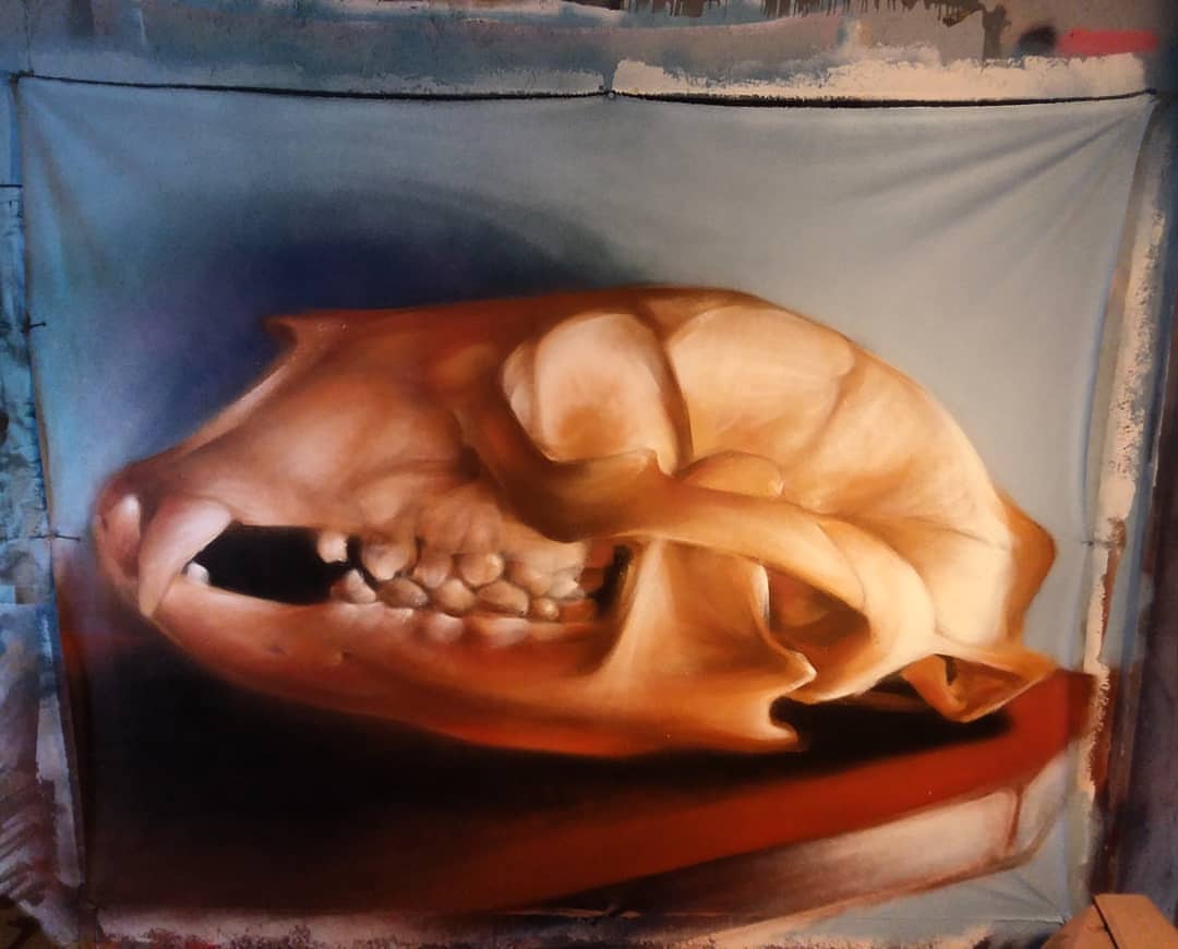 6 foot by 5 foot all free hand spray