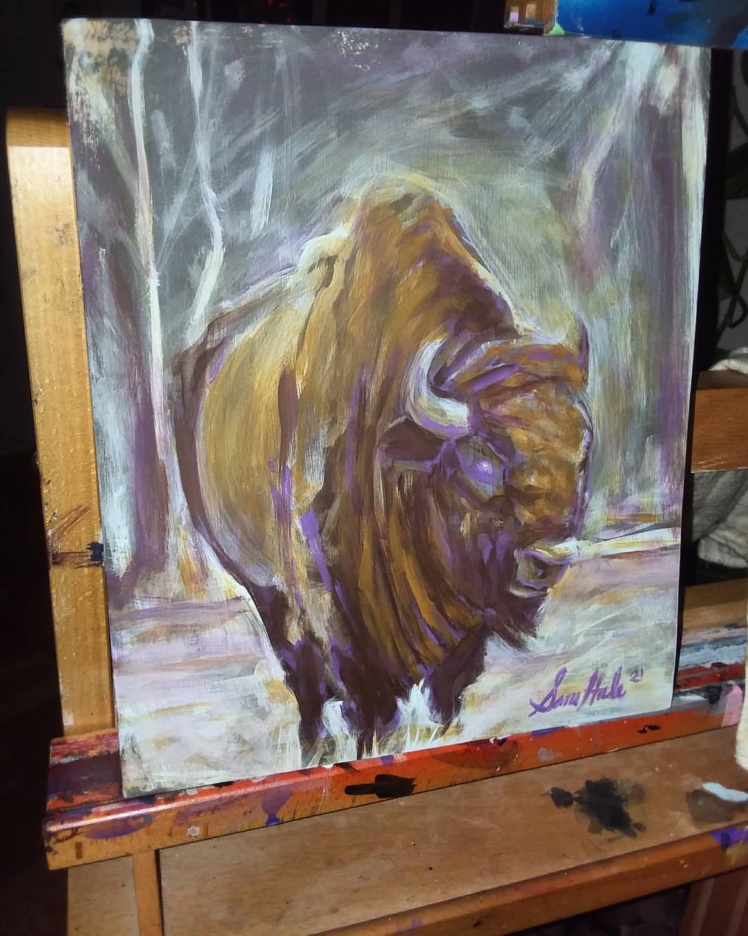 Bison Collaboration