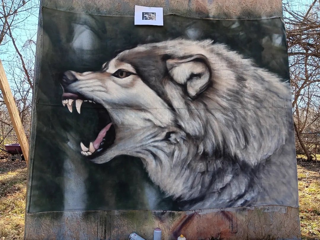 For sale!!! 6'x8' Spray paint on canvas....$500